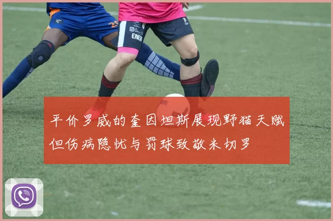 平价罗威的奎因坦斯展现野猫天赋但伤病隐忧与罚球致敬米切罗